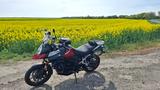 Suzuki DL 1000 V Strom viel Zubehör - Suzuki V-Strom 1000