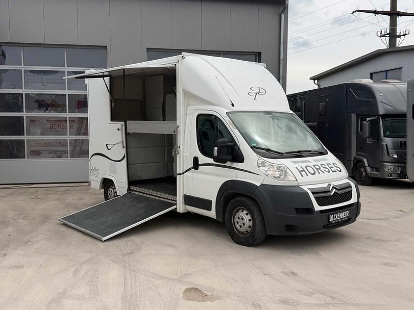 Citroën Pferdetransporter 2 Ride Nur 29.200KM