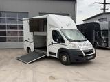 Citroën Pferdetransporter 2 Ride Nur 29.200KM - Tier- & Pferdetransport für 2 Pferde