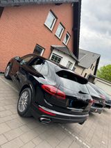 Porsche  Cayenne Diesel Platinum Edition Approved 12/25 - Porsche Cayenne in Dortmund