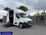 Renault Master | HORSETRUCK | PARAGAN | PRO SAFETY 3 | 2