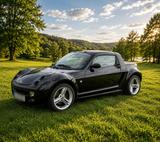 Smart Roadster MTV Edition Cabriolet  82 PS - gebrauchte Smart Roadster aus dem Jahr 2005