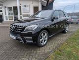 Mercedes-Benz ML 350/AMG-Paket/Keyless-Go/Standheizung - Mercedes-Benz ML 350: AMG