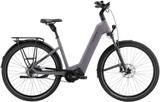 Pegasus Estremo EVO 9 Lite M - Pegasus E-Bikes