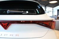 Cupra Leon - Vorschau Bild 18
