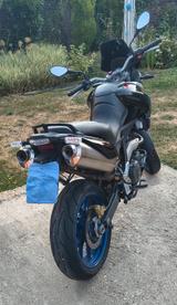 Aprilia Pegaso strada 650 - Aprilia Motorräder in Köln