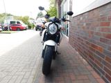 Suzuki SFV 650 GLADIUS, ABS, TIEFERLEGUNG - Offers matching your search criteria