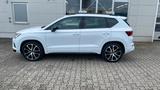 Cupra Ateca 4Drive 2.0 TSI DSG 360°,DCC,NAVI,ACC,SOUND - Cupra Ateca Gebrauchtwagen