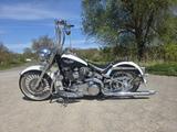 Harley-Davidson Softail Deluxe Chicano TC103 mexican Mcj Ape  - HARLEY-DAVIDSON SOFTAIL