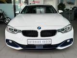 BMW 420i GRAN COUPE+SPORT LINE+NAVI+ABSTEMPO+PARK-AS - BMW 4 Series: Gran