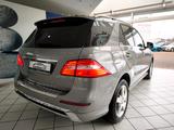 Mercedes-Benz ML 350 CDI*BlueTec*AMG Paket*4 Matic* - Mercedes-Benz ML 350: Cdi Bluetec