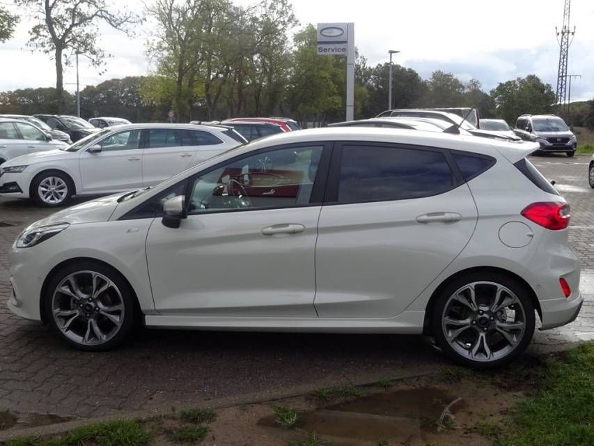 Fahrzeugabbildung Ford Fiesta 1.0 EcoBoost M-Hybrid ST-Line