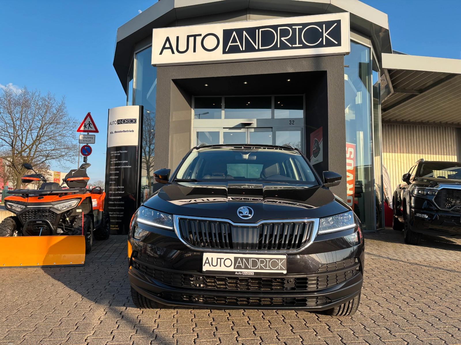 Skoda Karoq Style 4x4 NAVI KAMERA PDC SHZ LHZ