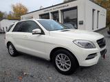 Mercedes-Benz ML 250 ML -Klasse ML 250 CDI BlueTec Automatik - Mercedes-Benz ML 250 Gebrauchtwagen