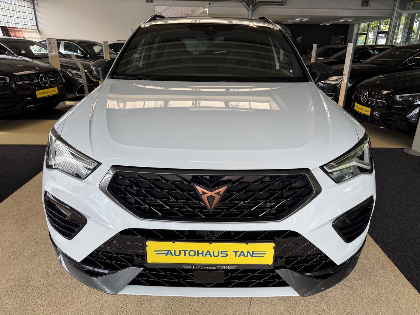 Fahrzeugabbildung CUPRA Ateca 4Drive*Pano