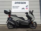 Honda NSS 125 Forza ABS * 6 Jahre Garantie * Neu 25 * - HONDA NS125