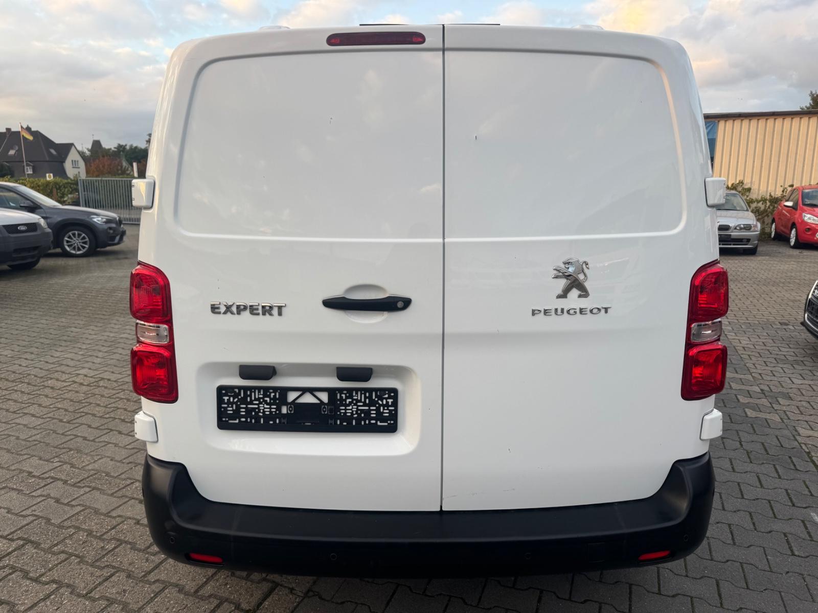Peugeot Expert Kasten Pro L2