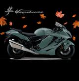 Suzuki Hayabusa, ++HERBST-AKTION++ - SUZUKI AKTION