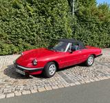 Alfa Romeo Spider - gebrauchte Alfa Romeo Spider aus dem Jahr 1987