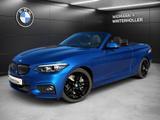 BMW 220i Cabrio M Sport Aut. Navi Pro RFK HK el.Sitz - BMW 2er Reihe: Cabrio