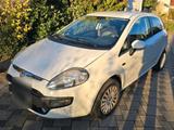 Fiat Punto 199 Baujahr 2009 ***WIRD NUR AB... - Fiat Punto: 199