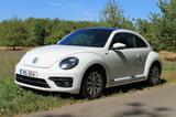 Volkswagen Beetle 1.2 TSI BMT ALLSTAR ALLSTAR