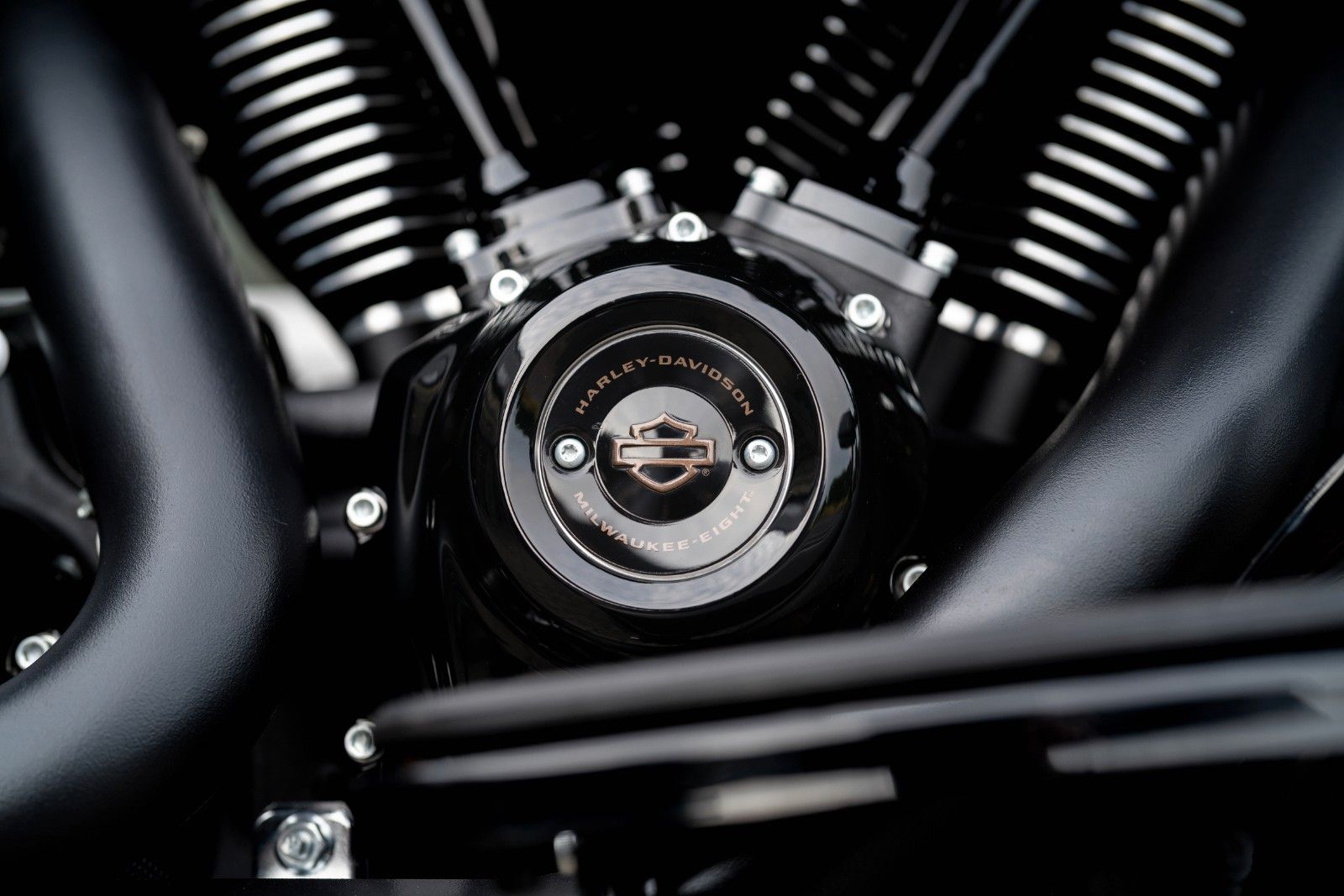 Fahrzeugabbildung Harley-Davidson FLHXST STREET GLIDE ST 117 -Kesstech-