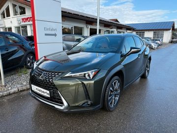 Lexus UX - 4