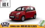 Fiat Panda Pandina POP Hybrid #KLIMA #PARKSENSOREN
