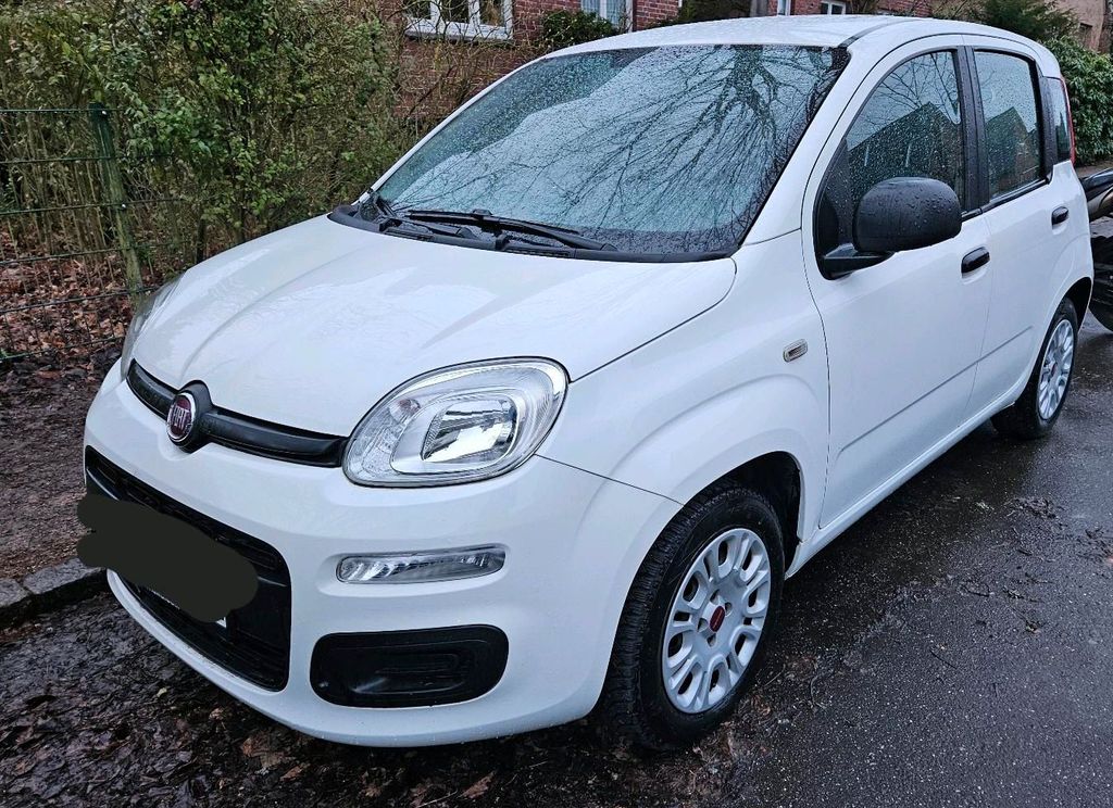 Image of Fiat Panda