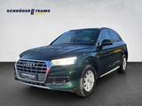 Audi Q5 2.0 TDI S-Tronic Quattro Sport AHK/DCC/XENON - Audi Q5 Gebrauchtwagen in Bielefeld