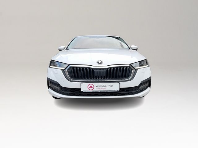 Octavia Combi 2.0 TDI DPF Ambition 4x4, Reise Pa