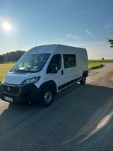 Fiat Ducato - gebrauchte Fiat Ducato aus dem Jahr 2020