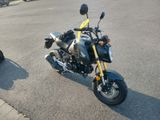 Honda Grom - HONDA POCKET BIKE