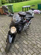 Suzuki Gladius 650  - SUZUKI GLADIUS 650