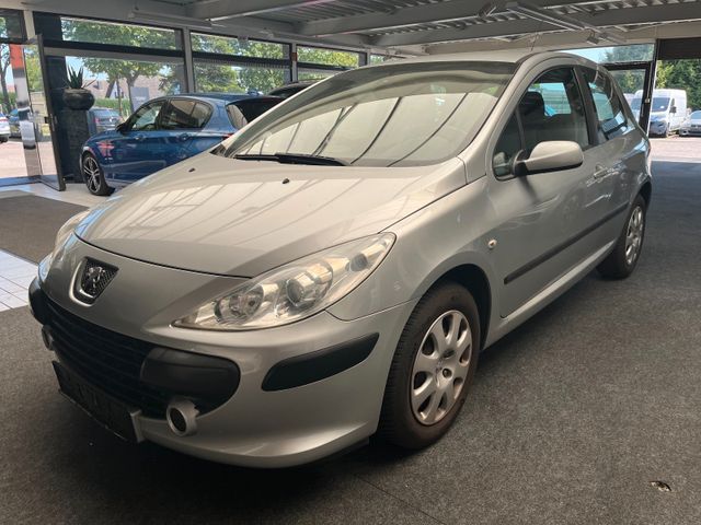 Peugeot 307 Grand Filou Cool