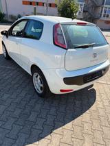 Fiat Punto 1.2 8V POP Tüv Neu - Fiat Punto: 1.2