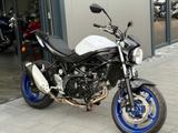 Suzuki SV 650 *Neuwertig*A2 möglich*1 Hand* - Angebote