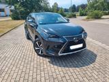 Lexus NX 300h E-FOUR Luxury Line  