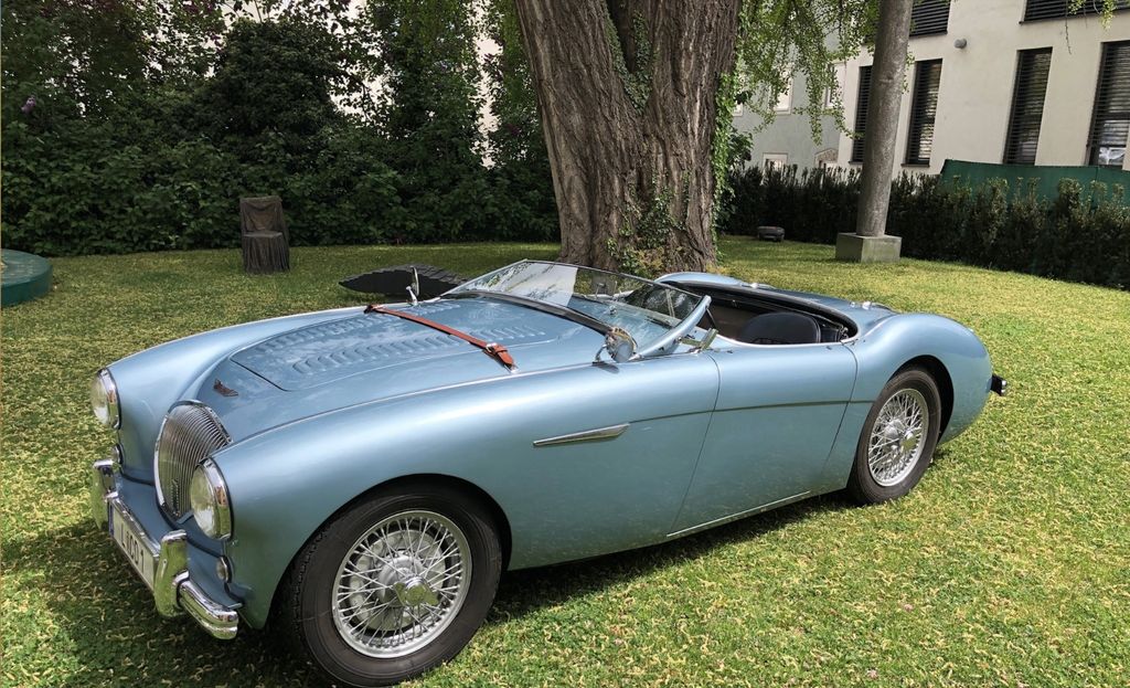 Austin Healey Andere