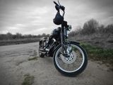 Harley-Davidson Softail Evo Bad Boy Springer - HARLEY-DAVIDSON 1995 SOFTAIL