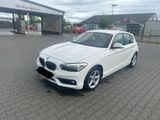 BMW Bmw 1 er 116D  Dinamic Edition - BMW 116: 1er 116d