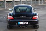 Porsche Cayman 2.7 - sehr gepflegt, Sportsitze - Porsche in Kiel