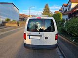 Volkswagen Caddy 2.0 TDI Kasten, Würth Regal, MwSt. ausweis - Trucks in Nürnberg