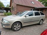 Skoda Scoda Octavia 2L Benzin - Skoda Octavia aus 2005: Kombi