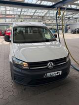 Volkswagen Caddy 2.0 TDI DSG zu verkaufen - Volkswagen Caddy: Volks