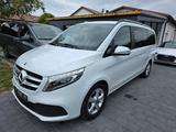 Mercedes-Benz V 300 D EDITION lang 8-Sitzer - Mercedes-Benz V 300 Gebrauchtwagen