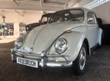 Volkswagen Käfer - SCHIEBEDACH - H-KENNZEICHEN - 6 - VOLT