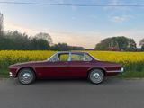 Jaguar XJ6 Serie 1  - Jaguar XJ6 Gebrauchtwagen