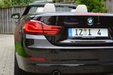 BMW 435i Cabrio Sport Line HK LED Driving Ass. TOP - BMW: As